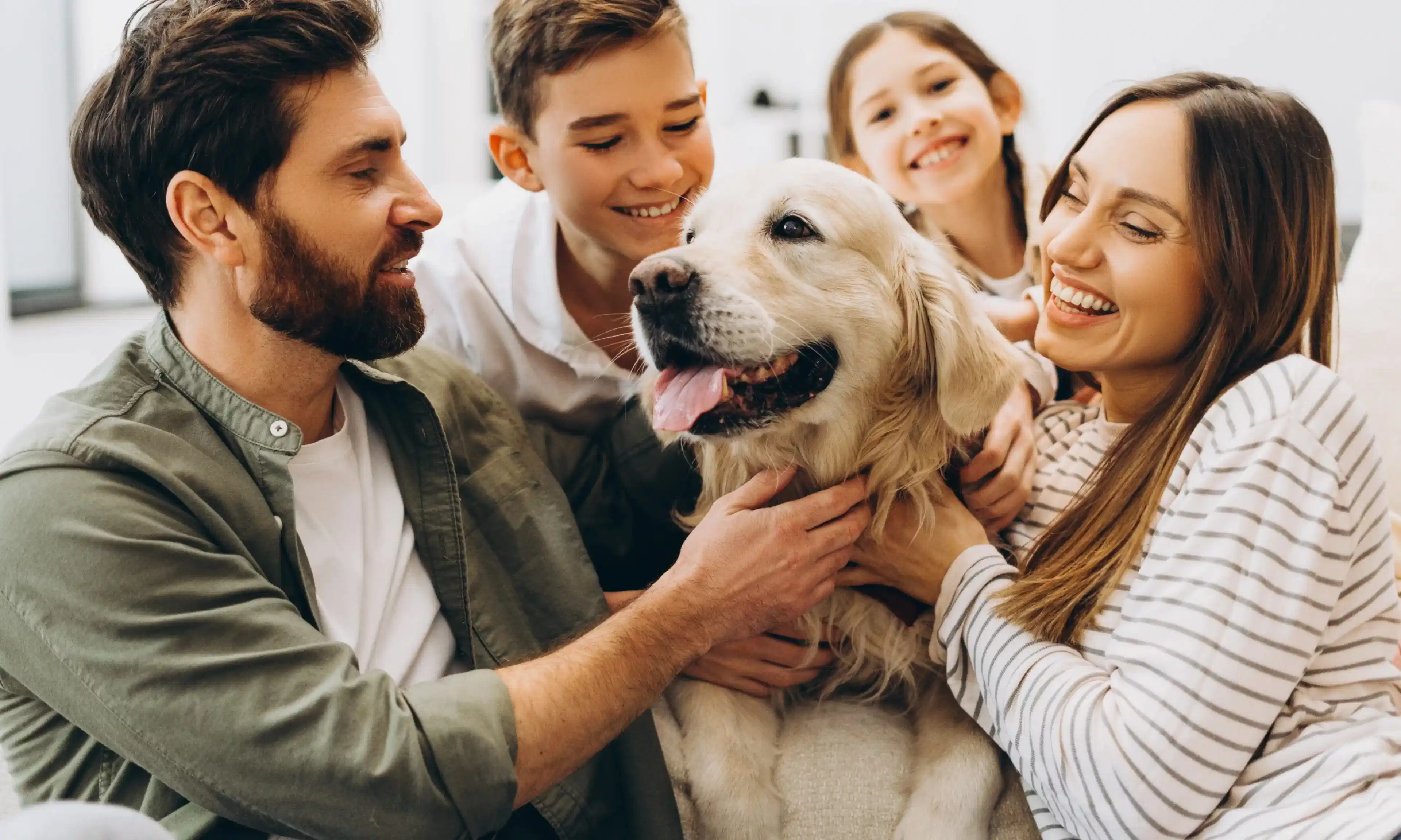 Evcil Hayvan Sahiplerine Özel Konfor Artıran Teknolojik Ürünler