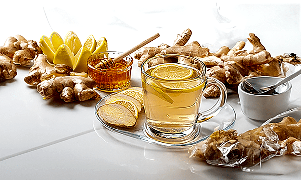 Bağışıklık Sistemini Destekleyici Bitki Çayları